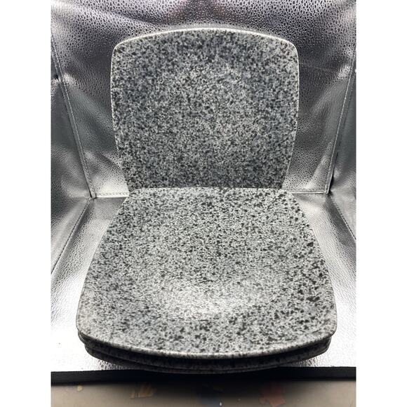 222 Fifth My Place My Space Set Of 4 Speckled Textured Stoneware Dinner Plates - Picture 1 of 8